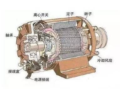 交流電動(dòng)機(jī)結(jié)構(gòu)示意圖.jpg