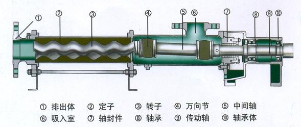 單螺桿泵基本機構(gòu)圖.png