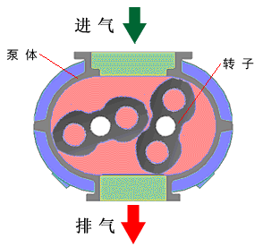 羅茨真空泵基本結(jié)構(gòu)圖.png